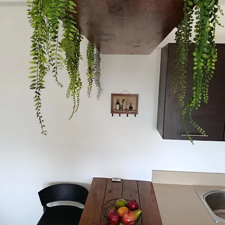Apartment Corali *